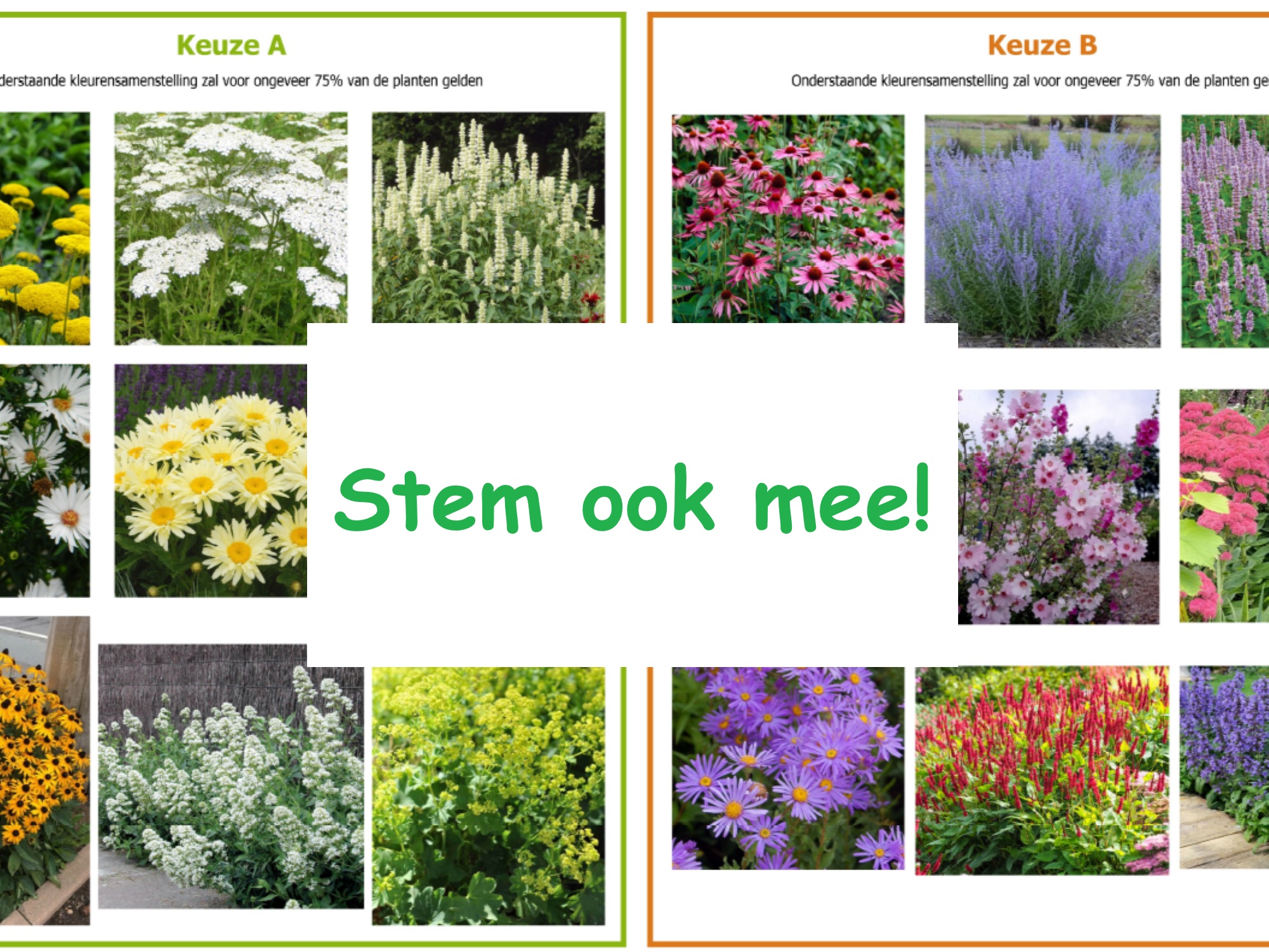 Groen in Echteld